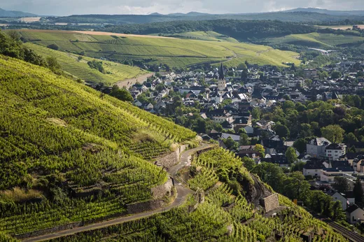 Ein üppig grüner Weinberg am Hang überragt eine kleine Stadt mit dicht gedrängten Häusern und Gebäuden, umgeben von sanften Feldern und fernen Hügeln unter einem teilweise bewölkten Himmel.