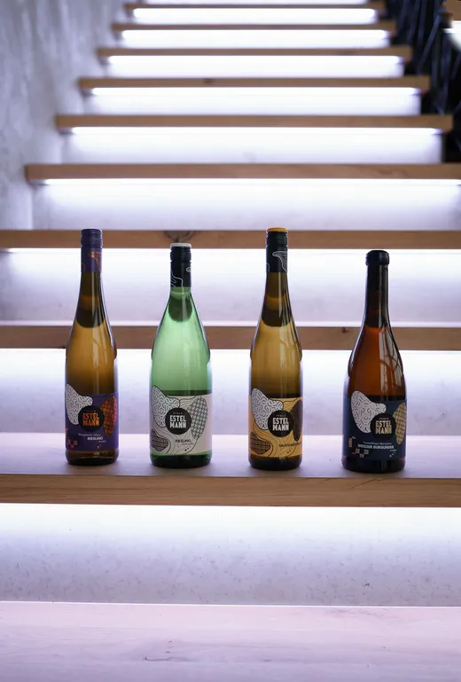 Vier Flaschen Sekt mit verschiedenfarbigen Etiketten stehen in einer Reihe auf Holzstufen, die von hellweißem Licht beleuchtet werden. Im Hintergrund ist eine moderne, minimalistische Treppe zu sehen.