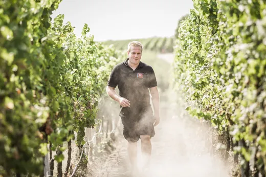 An einem sonnigen Tag spaziert ein Mann in einem schwarzen Poloshirt und Shorts durch einen Weinberg, flankiert von grünen Weinreben auf beiden Seiten, während Staub von dem Feldweg unter seinen Füßen aufwirbelt.