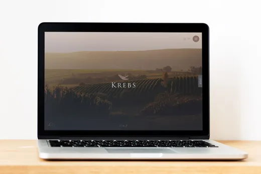 Auf einem Laptop, der auf einer Holzunterlage steht, ist eine Website zu sehen, auf der im Hintergrund eine Weinberglandschaft zu erkennen ist und in der Mitte des Bildschirms das Wort „KREBS“ sowie ein Krebs-Logo angezeigt werden.