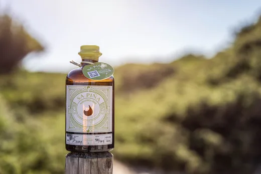 Eine Flasche „Sa Pina Gin“ mit einem runden grünen Etikett steht im Freien auf einem Holzpfahl, im Hintergrund sind verschwommene Pflanzen und strahlendes Sonnenlicht zu sehen.