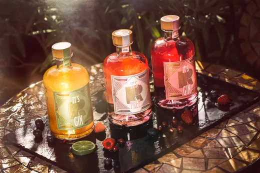 Drei bunte Gin-Flaschen auf einem glänzenden Tablett, umgeben von frischen Beeren, Limetten und Grünpflanzen. Sonnenlicht strömt herein und schafft eine warme, einladende Atmosphäre. Auf den Flaschen steht „It’s R Gin.“.