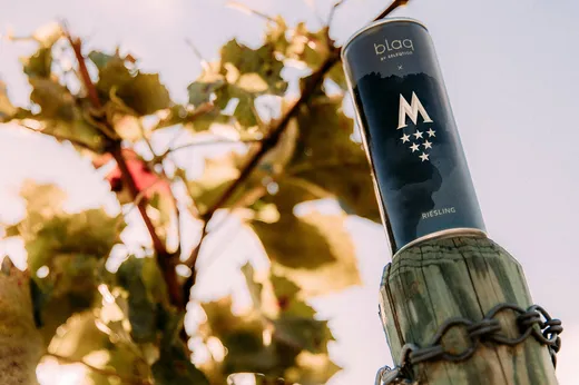 Eine elegante Dose mit „blaq Riesling“-Wein steht auf einem Holzpfahl, im Hintergrund sind sonnenbeschienene Weinblätter und ein blauer Himmel zu sehen. Die Dose ist mit einem auffälligen „M“ und einem Sternenmuster verziert.