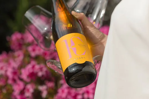 Eine Person, die eine Weinflasche mit der Aufschrift „Riesing KREBS“ und zwei Weingläser in der Hand hält und vor leuchtend rosa Blumen steht. Der Fokus liegt auf der Flasche und den Gläsern, der Hintergrund ist sanft und natürlich.
