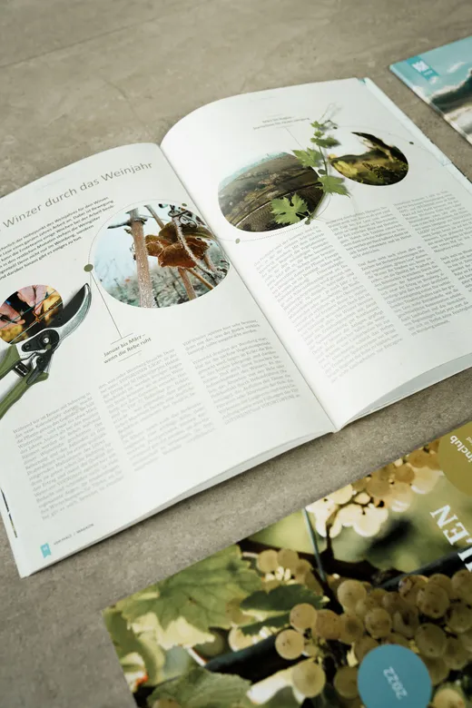 In einer aufgeschlagenen Zeitschrift ist ein Artikel mit Text und runden Abbildungen zu sehen, die Weinreben, Rebscheren und Weinberge zeigen. Daneben liegt eine weitere Zeitschrift mit einem Titelbild von Weintrauben teilweise sichtbar auf einer ebenen Fläche.