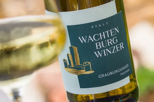 Eine Nahaufnahme einer Weinflasche mit der Aufschrift „Wachtenburg Winzer Pfalz Grauburgunder Trocken“, im Vordergrund ist ein teilweise sichtbares Glas Weißwein zu sehen. Auf dem Etikett ist eine goldene Illustration einer Burg abgebildet.