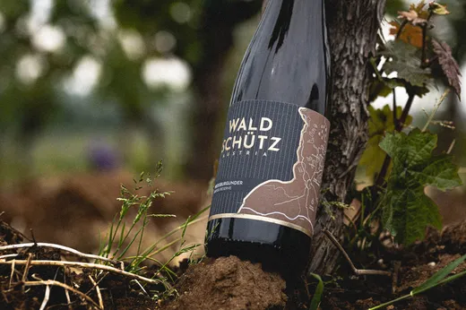 Eine Flasche Waldschütz-Wein steht in einem Weinberg an einem Baumstamm, umgeben von Gras, Erde und Weinblättern. Das Etikett zeigt den Umriss einer Landkarte und moderne Designelemente.