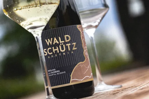 Eine Flasche Waldschütz Austria-Wein mit der Bezeichnung „Riesling aus Gaisberg Kamptal Reserve“ steht schräg zwischen zwei mit Weißwein gefüllten Weingläsern auf einer Holzunterlage.